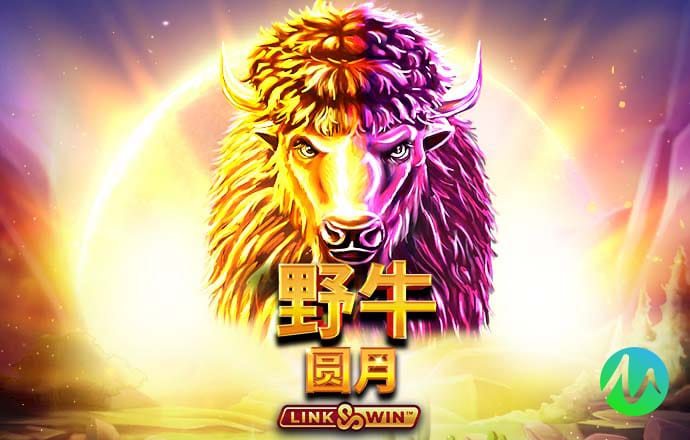 黑暗中的骑士